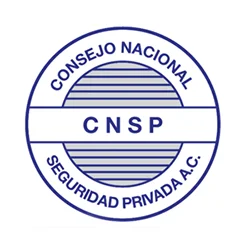 (c) Cnsp.org.mx